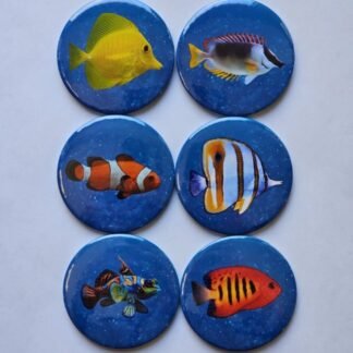 marine aquarium fridge magnets